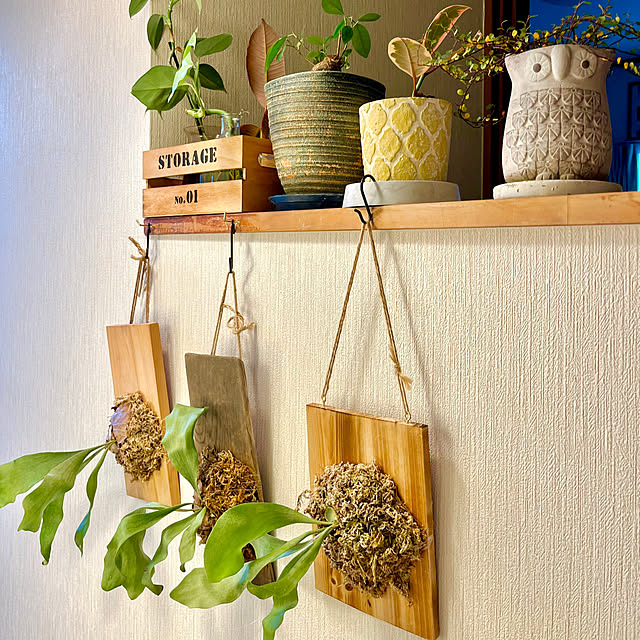 yukaringさんの部屋