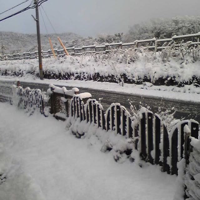 masaさんの実例写真