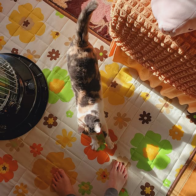 kumutanさんの部屋