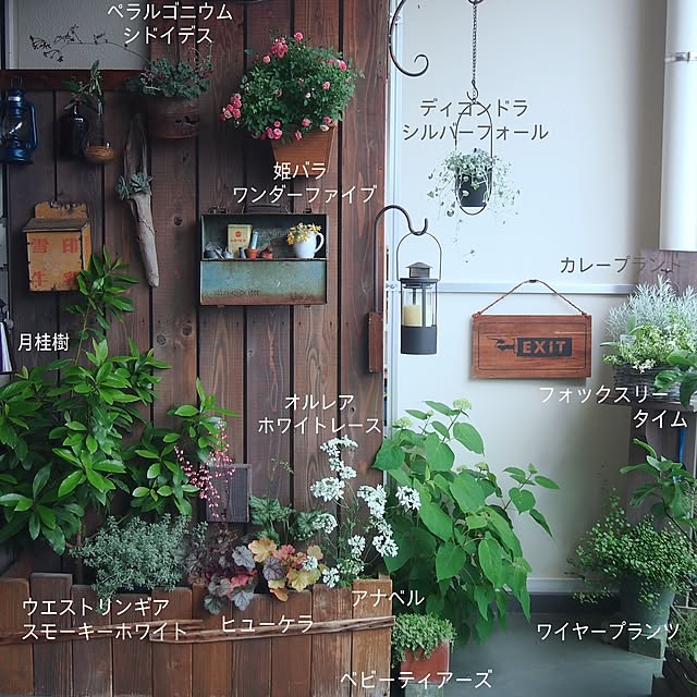 kazafunaさんの部屋