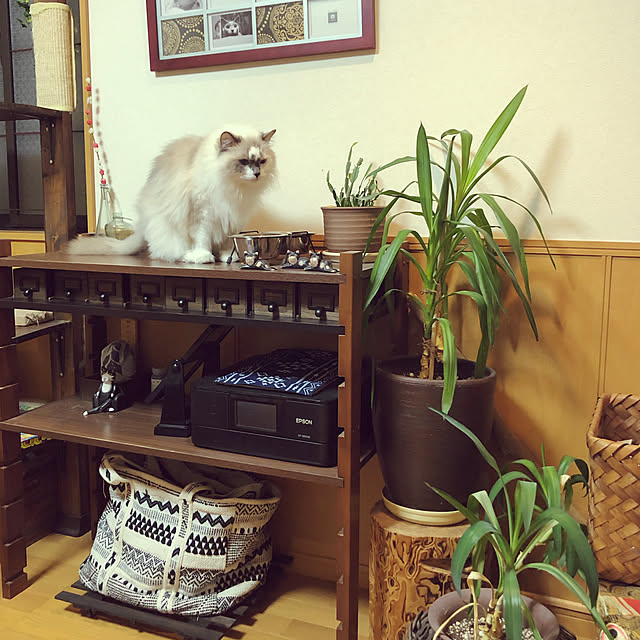 mizu.さんの実例写真