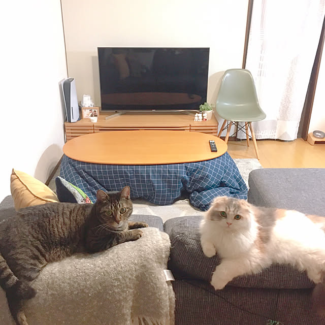 anさんの実例写真
