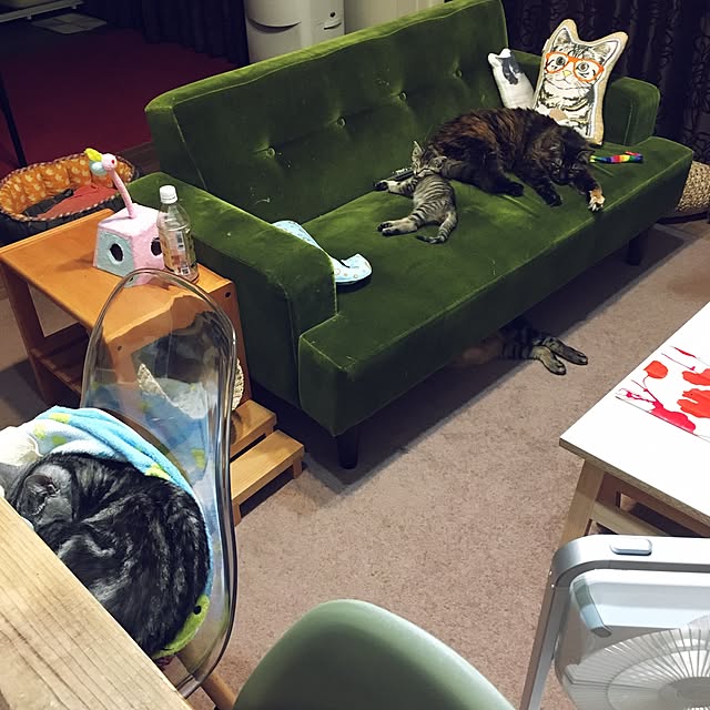 mikomaruさんの部屋