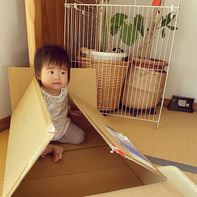 kotaroさんの実例写真