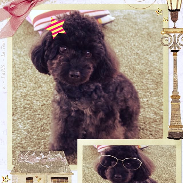 mini_mayさんの実例写真