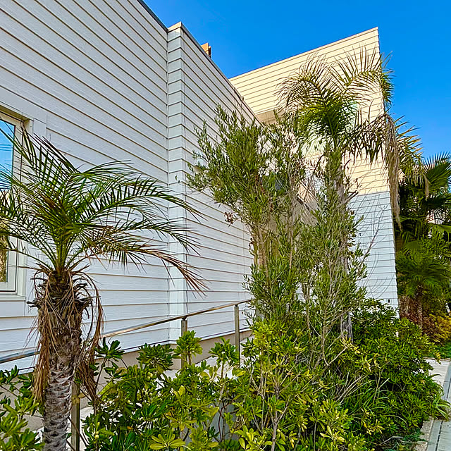 tututu0204さんの部屋