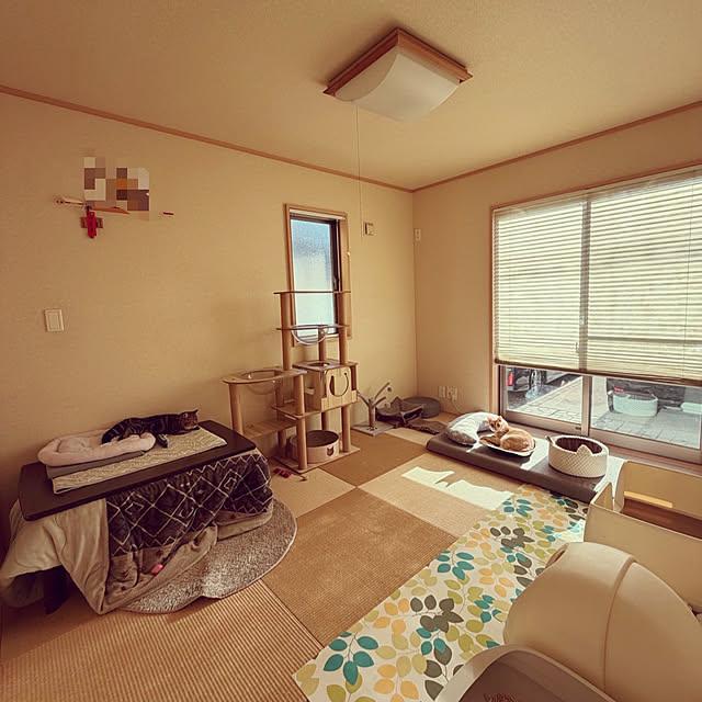 chiiさんの実例写真