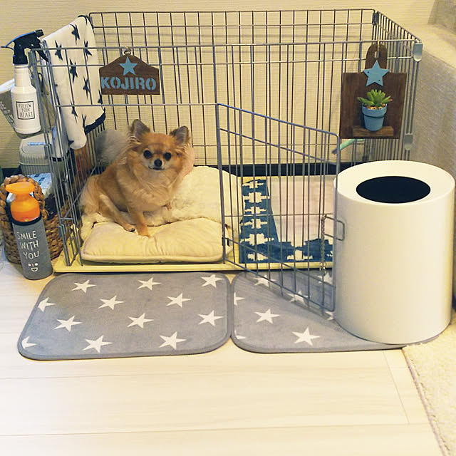 kojikojiさんの実例写真