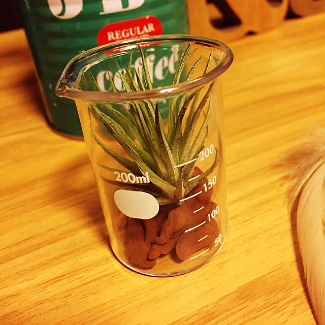 10さんの実例写真