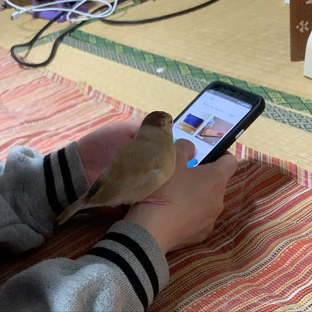 sukeさんの実例写真