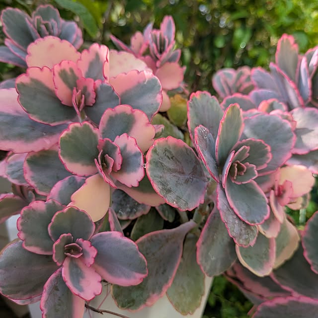 wumag418さんの実例写真