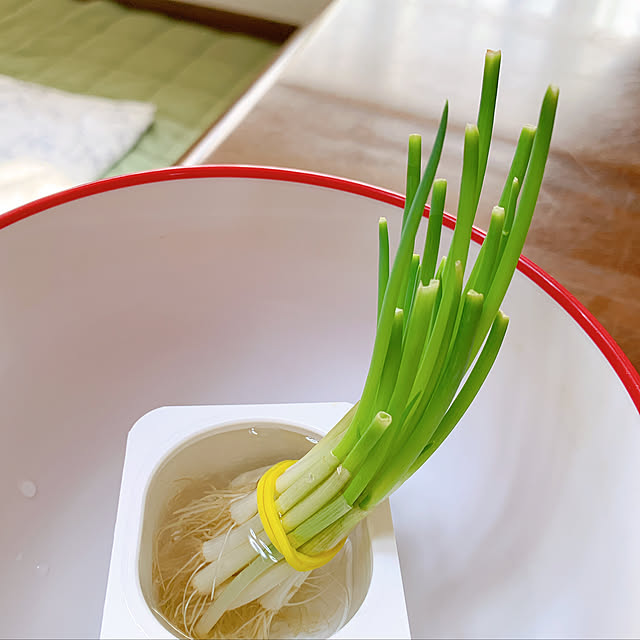 Shinamonさんの実例写真