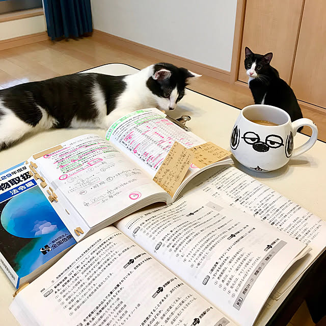 butachanさんの実例写真