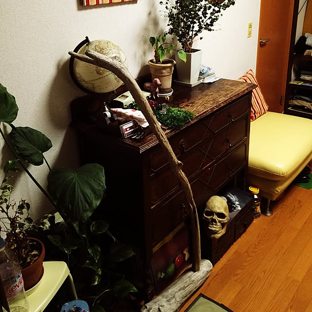 haroさんの実例写真