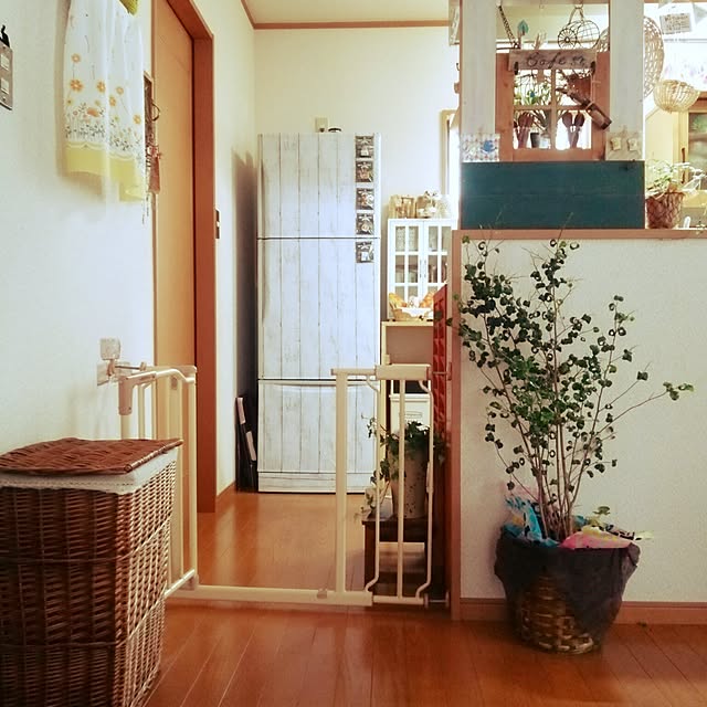 miiさんの実例写真
