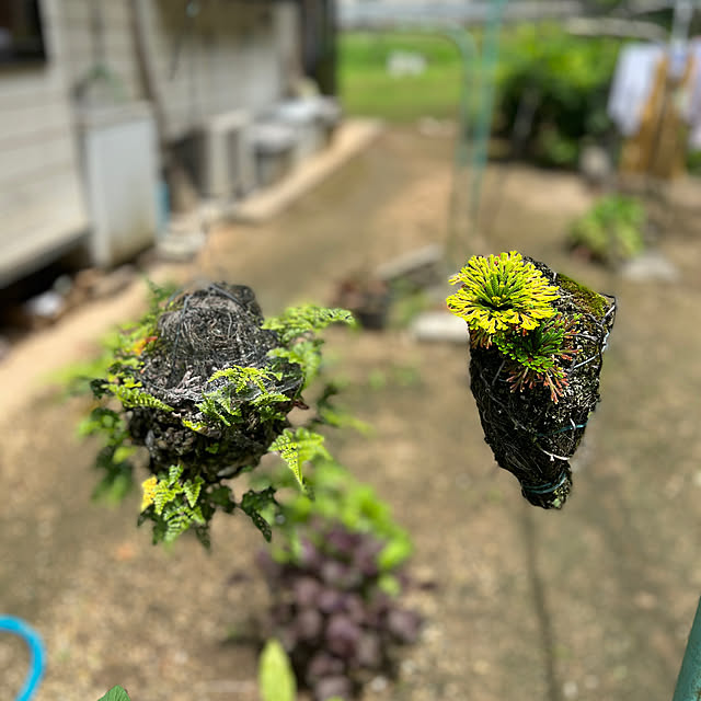 sakakenさんの実例写真