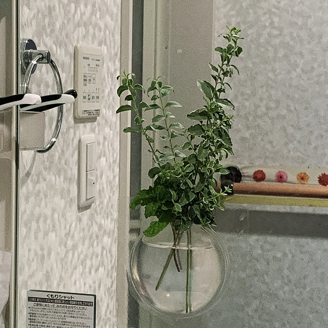 バス/トイレ/洗面所にもグリーン/観葉植物のある暮らし/いいね、フォローに感謝です.｡.:*♡/いいねと、フォローの押し逃げすみません！のインテリア実例 - 2023-07-17 19:13:09