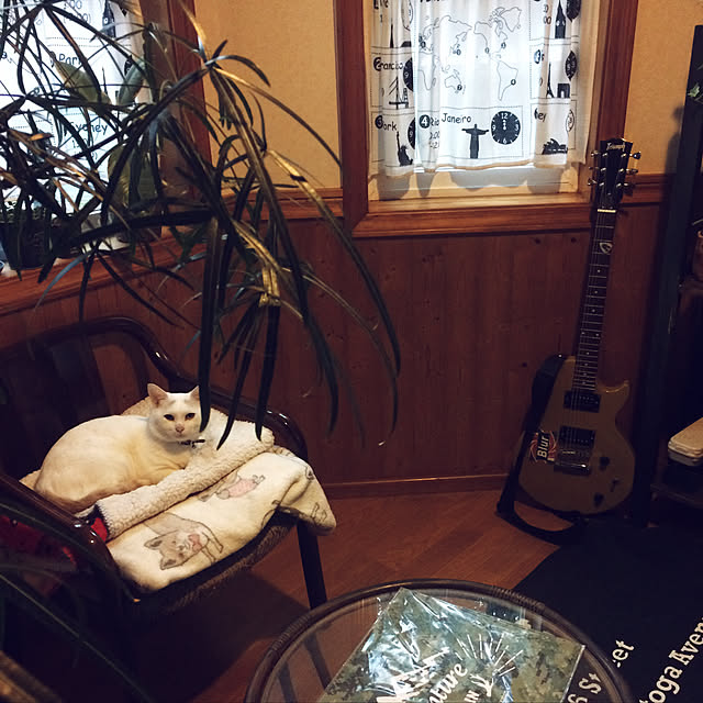 chocolatさんの実例写真