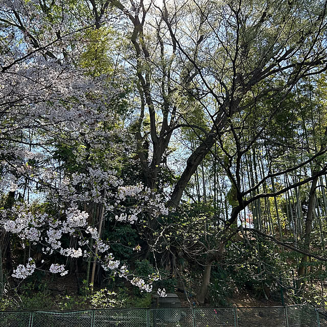 happy-sachiさんの部屋