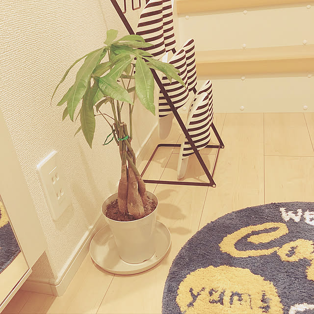 maayuuuさんの実例写真