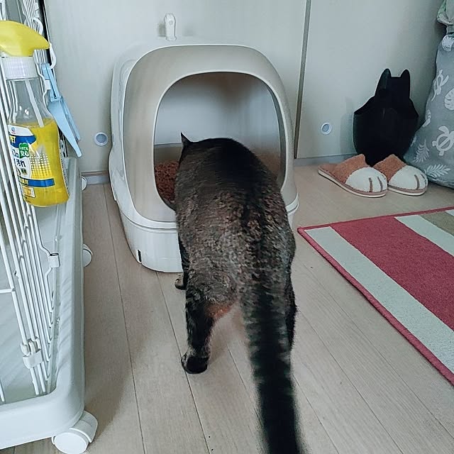 cocomintさんの部屋