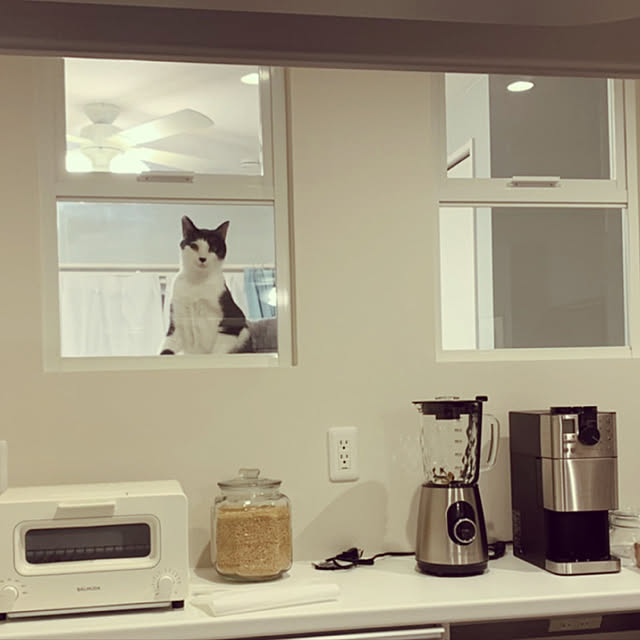 miiiiさんの実例写真