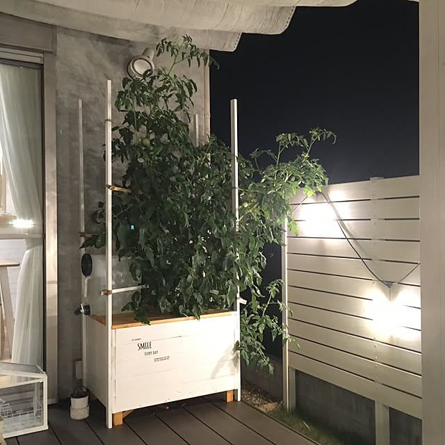 PEKO3_3さんの実例写真