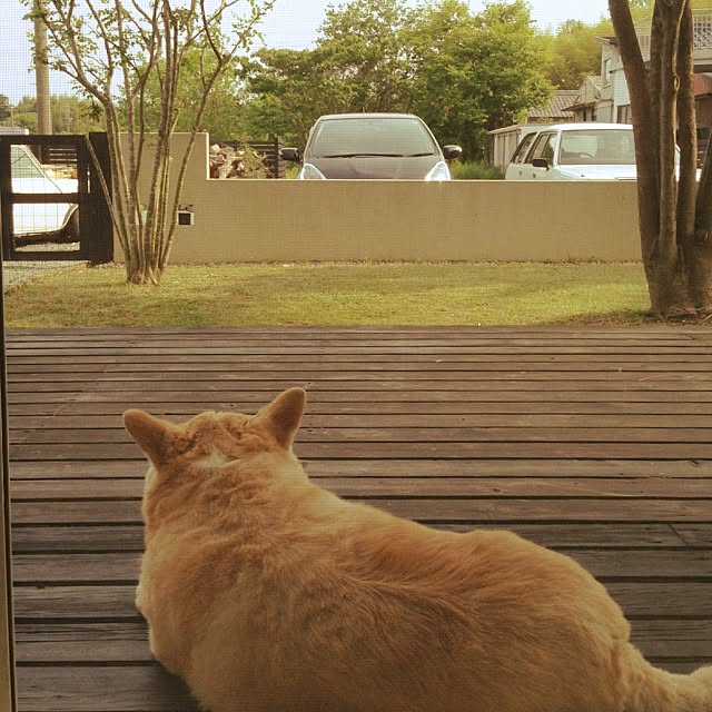 KOKUBOさんの実例写真