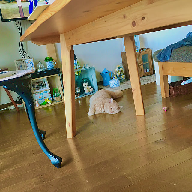 naokoさんの実例写真