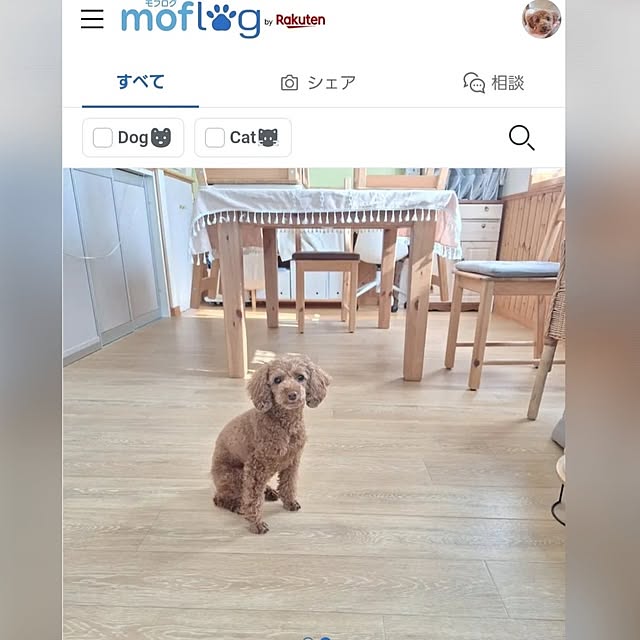 Blancheさんの部屋