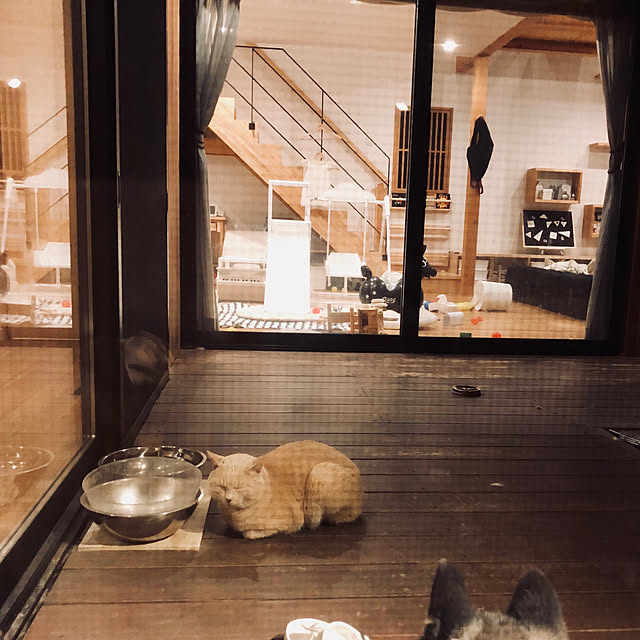 Chuppeetaさんの実例写真