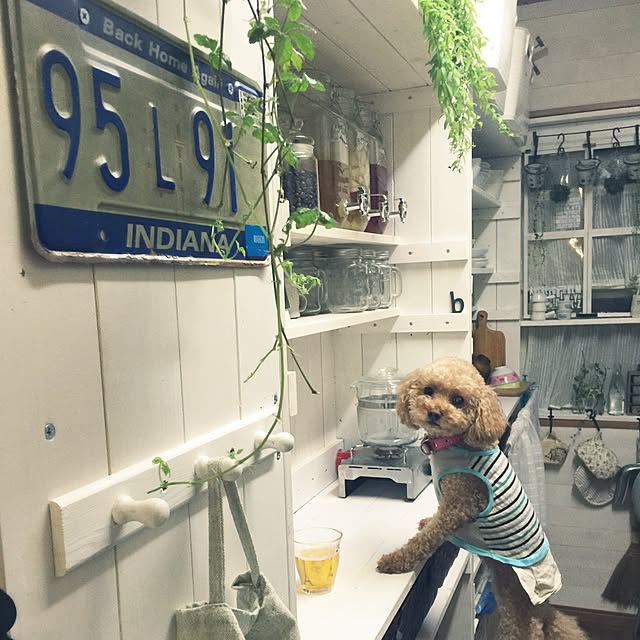 RURULOVEさんの実例写真