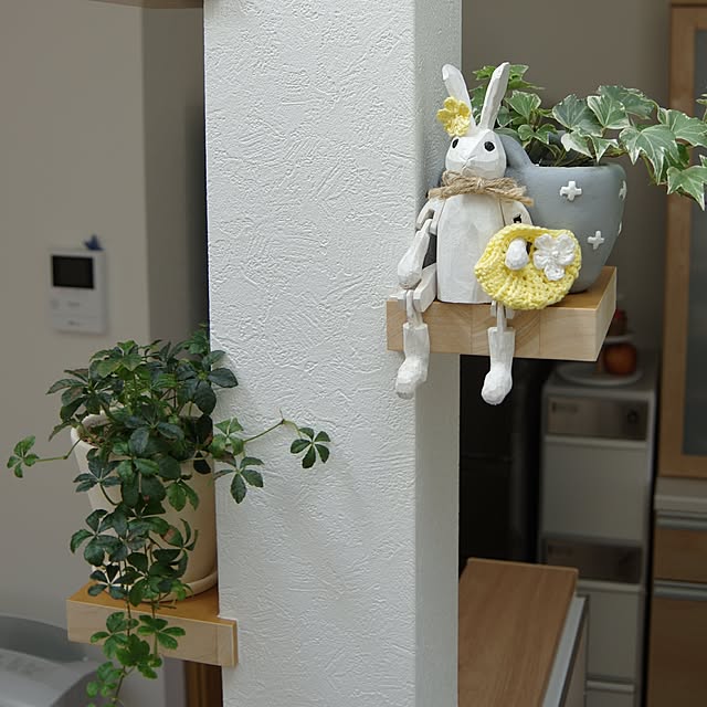 Shooowkoさんの実例写真