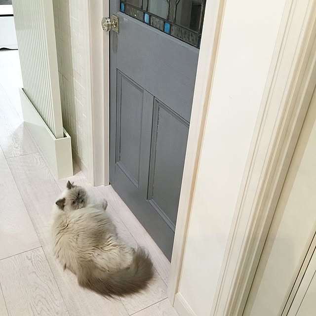 yuchiさんの実例写真