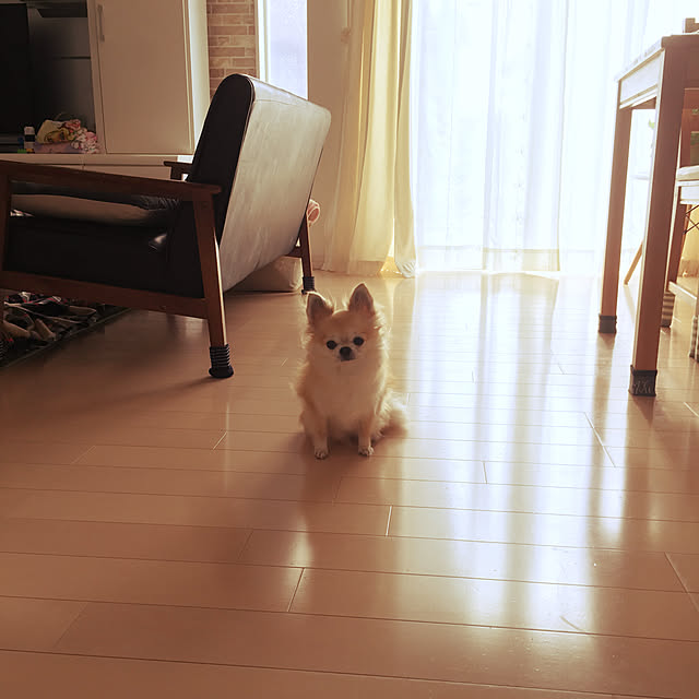 konomi513さんの実例写真