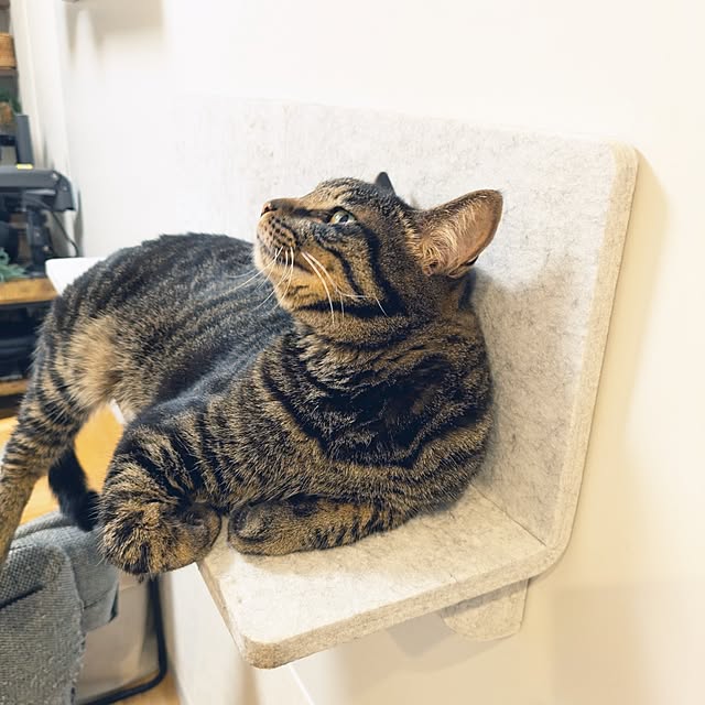 hihaさんの部屋