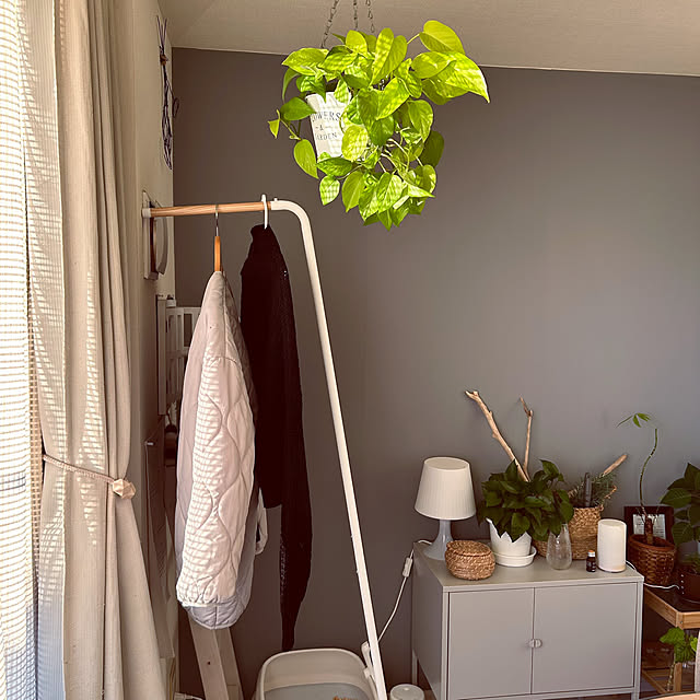 nekomiさんの実例写真