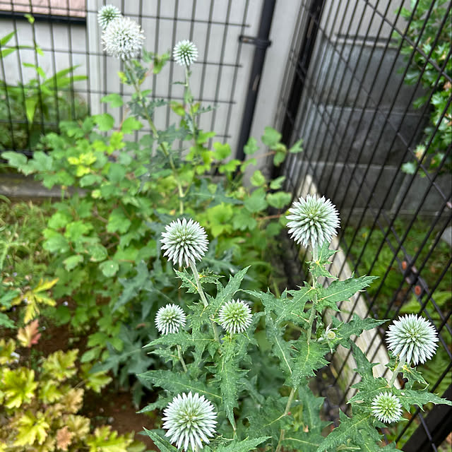 masaさんの部屋
