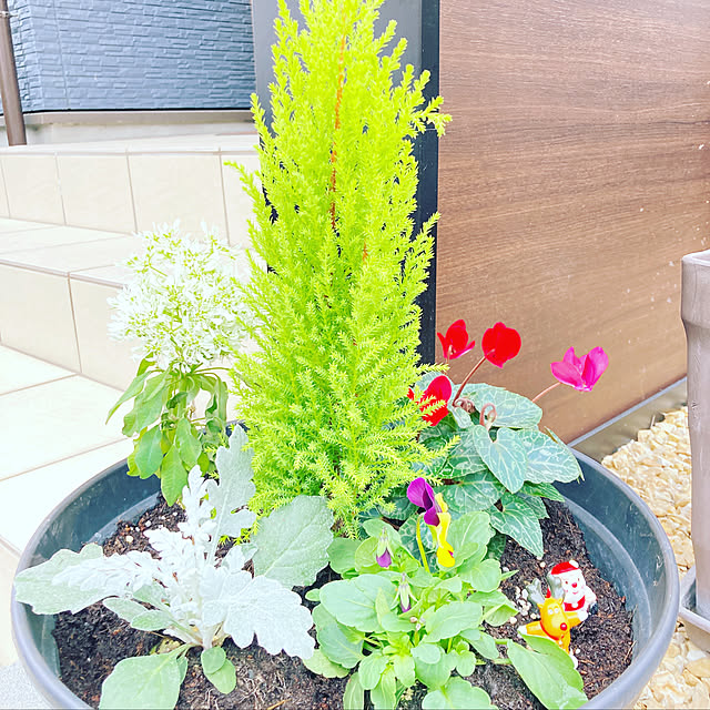 Ryoさんの実例写真