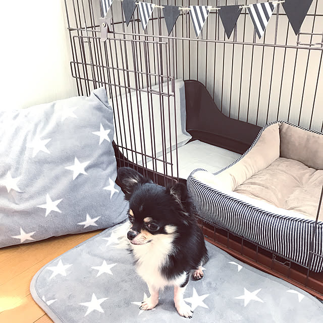 eriさんの実例写真