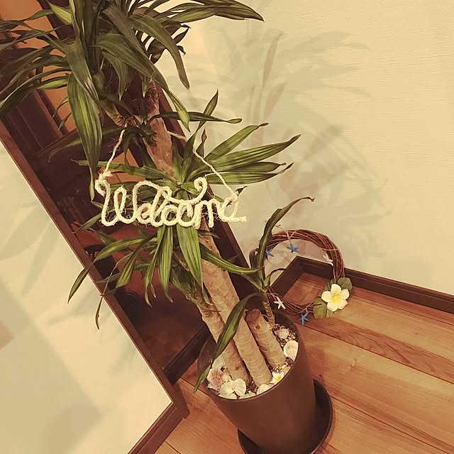 t.m.s.eさんの実例写真