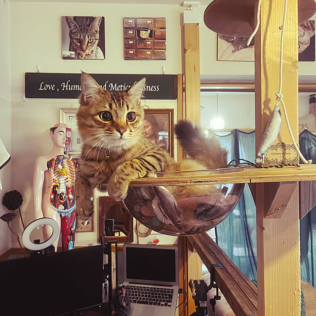 Mさんの実例写真