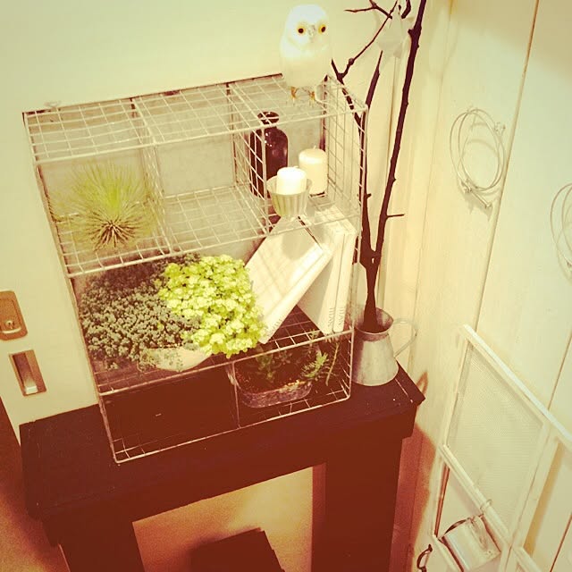 chunさんの実例写真