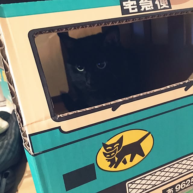 pitaさんの実例写真