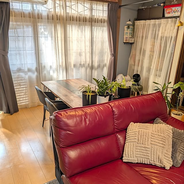 naoporonさんの部屋