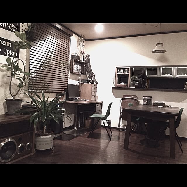 jnkaiさんの実例写真