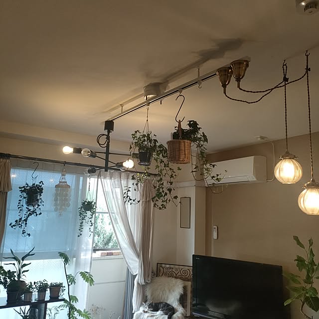 Yoko622さんの実例写真