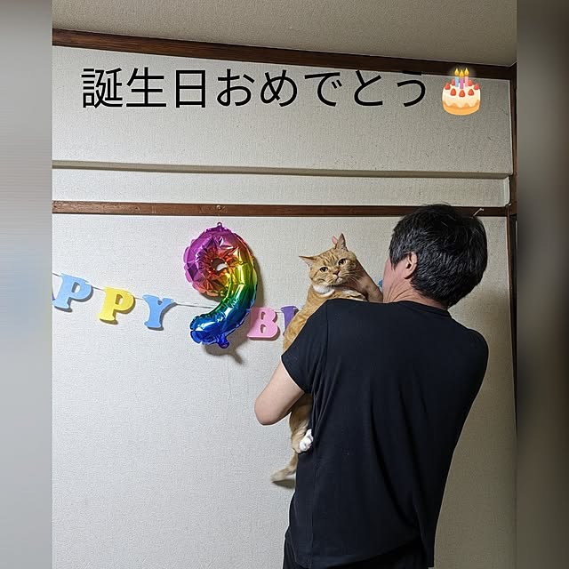 toramamaさんの実例写真