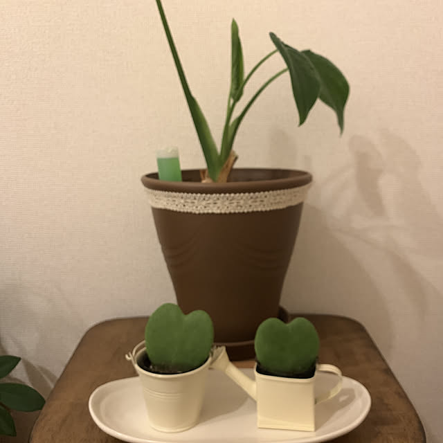 ez33cさんの実例写真