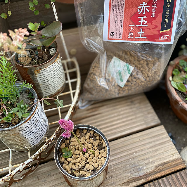 mamiさんの実例写真